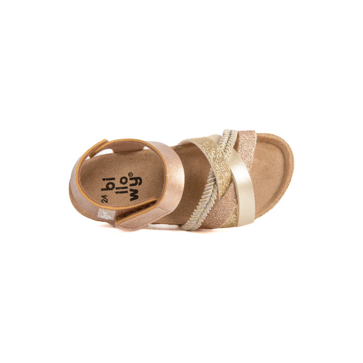 8204C21