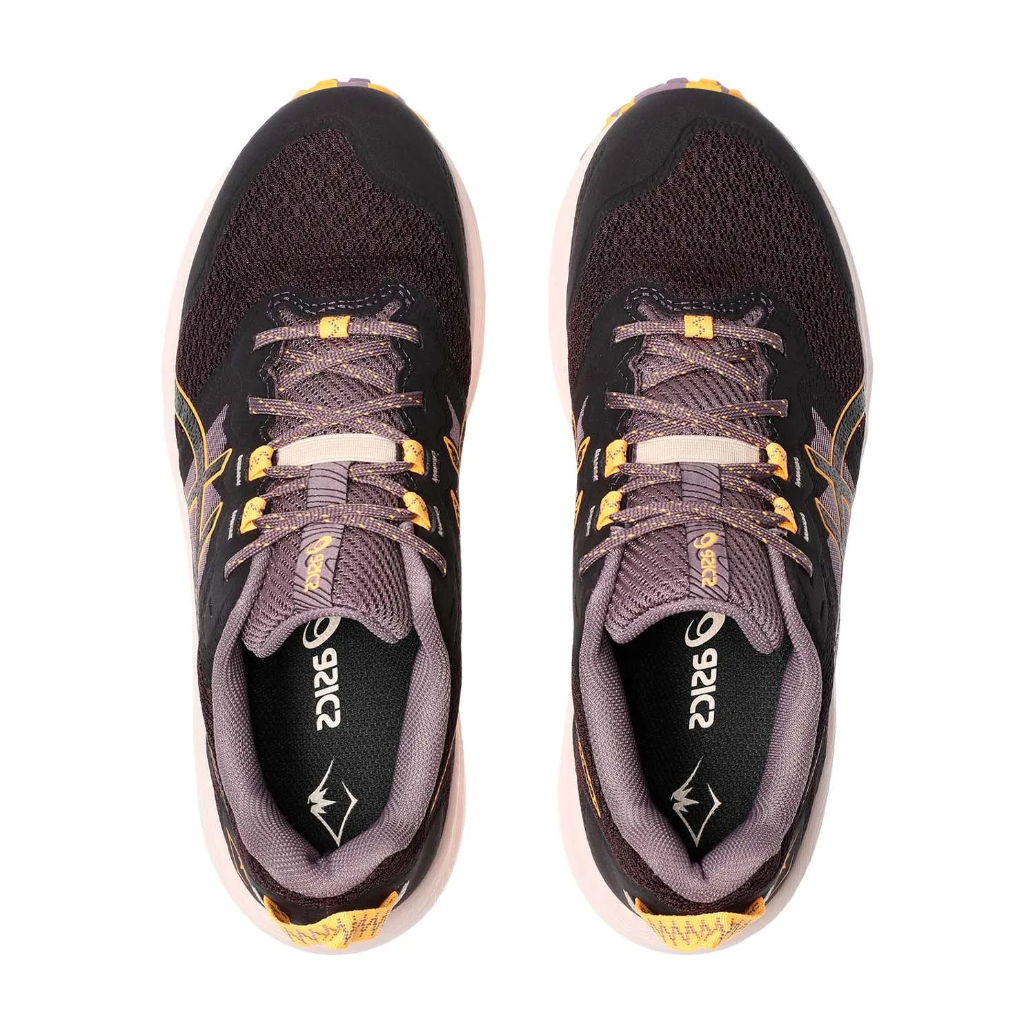 Asics Trabuco Terra 2