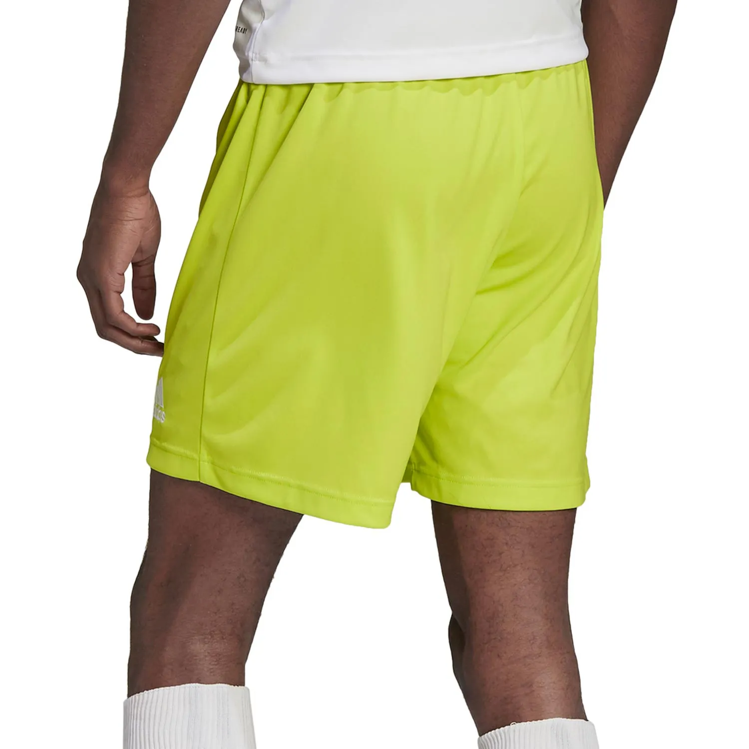 Short adidas Entrada 22